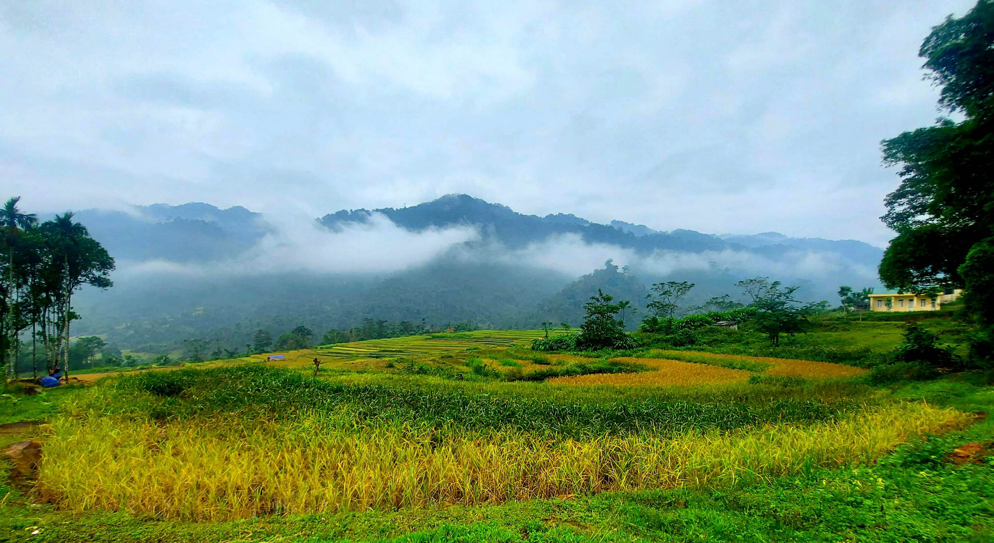 Vùng đất biên giới Piêng Lâng, xã Nậm Giải, huyện Quế Phong.