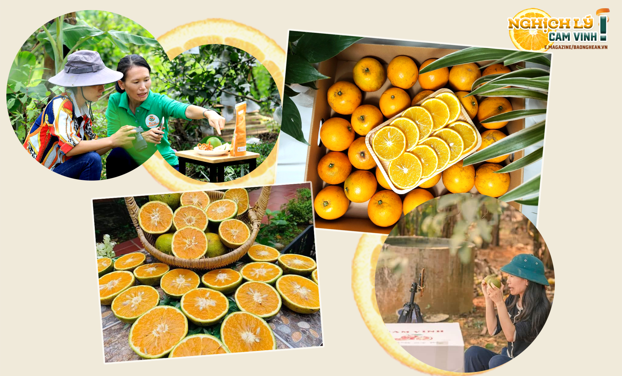 Chị Nguyễn Thị Lê Na livertream bán cam trên nền thương mại điện tử; Khâu hình ảnh được đầu tư để tạo sức hấp dẫn đối với khách.