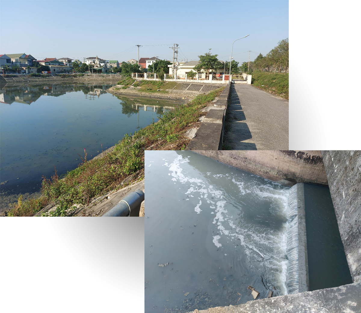 Hồ chứa trạm bơm Đông Nam cũng đang trở thành nơi chứa nước thải sinh hoạt.