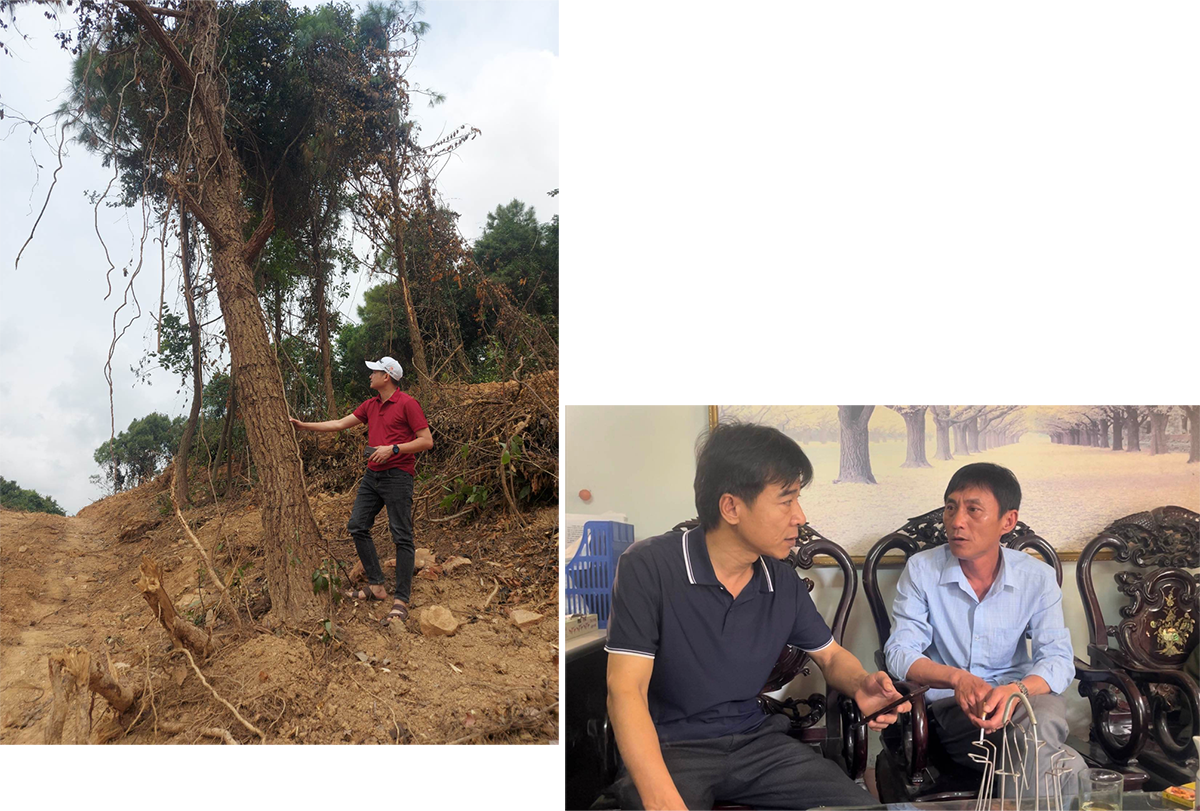 PV Báo Nghệ An bên một cây thông trong vùng rừng bị hủy hoại (ảnh trái); PV Báo Nghệ An nắm bắt thông tin từ ông Hoàng Trí Thức, phụ trách Trạm bảo vệ rừng Lèn Ngồi.