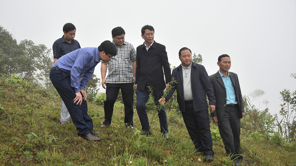 Đại diện lãnh đạo các sở, ngành và Ủy ban nhân dân huyện Kỳ Sơn kiểm tra mô hình trồng đào ở xã Tây Sơn. Ảnh: Minh Quân