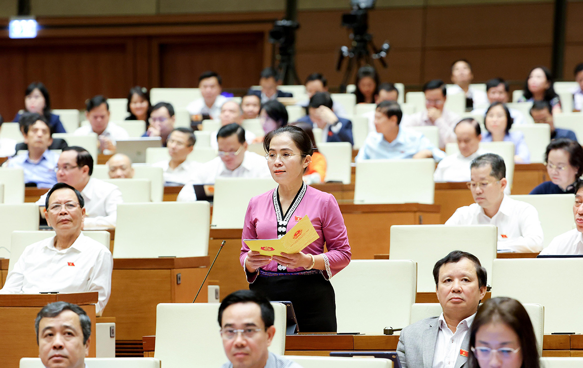 Đại biểu Võ Thị Minh Sinh phát biểu tại Kỳ họp Quốc hội.