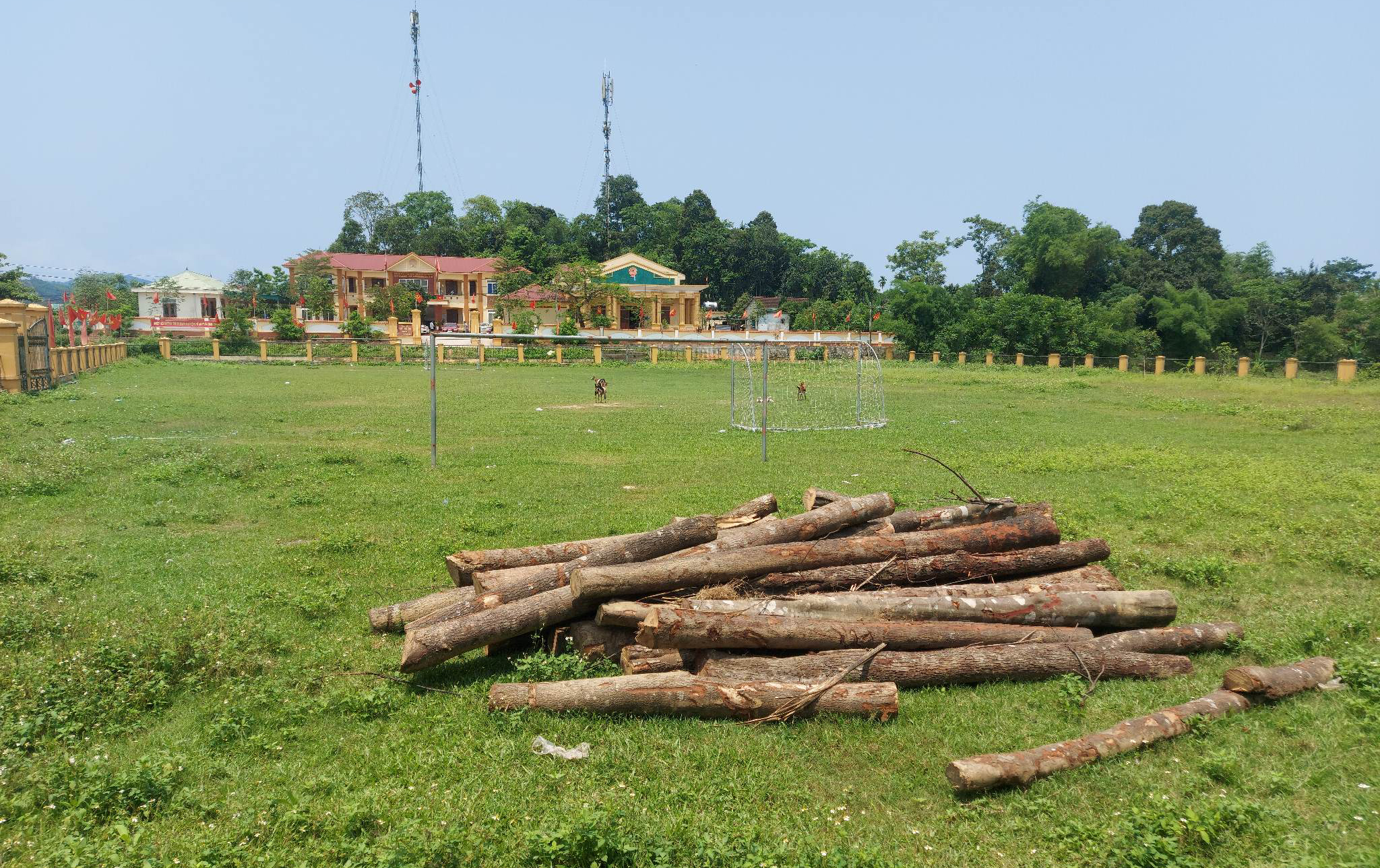 Số gỗ rừng tự nhiên bị khai thác trái phép hiện được quản lý tại xã Thanh Mai.