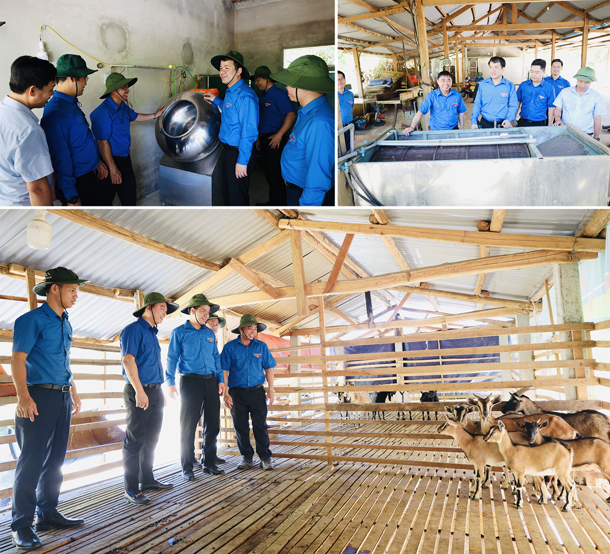 Đoàn công tác Trung ương Đoàn và Tỉnh đoàn Nghệ An thăm các khu chăn nuôi, trồng trọt của Tổng đội TNXP 9 và các mô hình sản xuất của các đội viên. Ảnh: Quang Huy