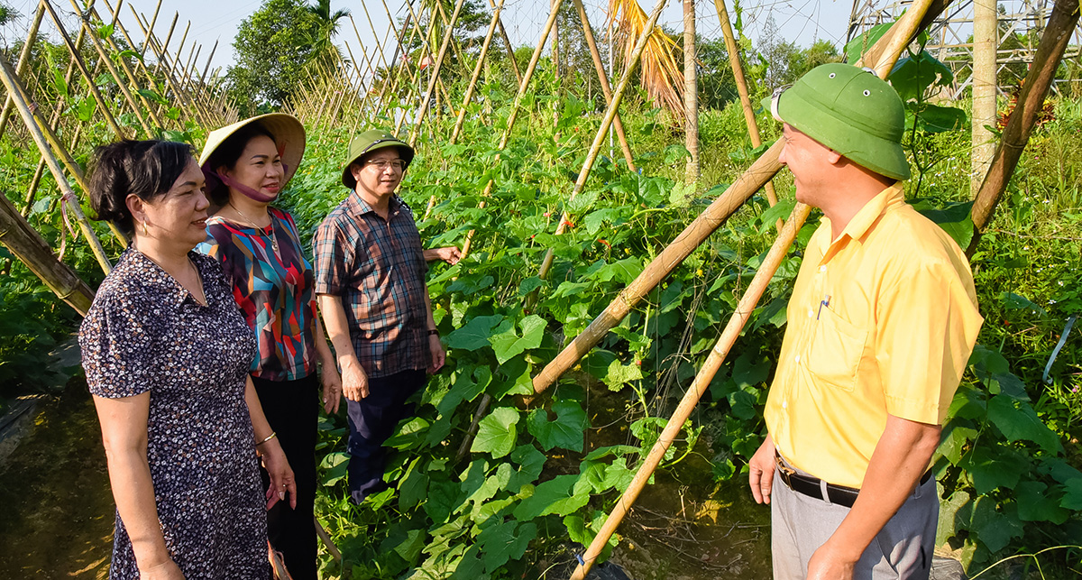 Lãnh đạo huyện Thanh Chương và xã Thanh Lĩnh kiểm tra mô hình chuyển đổi cây trồng trong sản xuất nông nghiệp của người dân. Ảnh: Thanh Lê