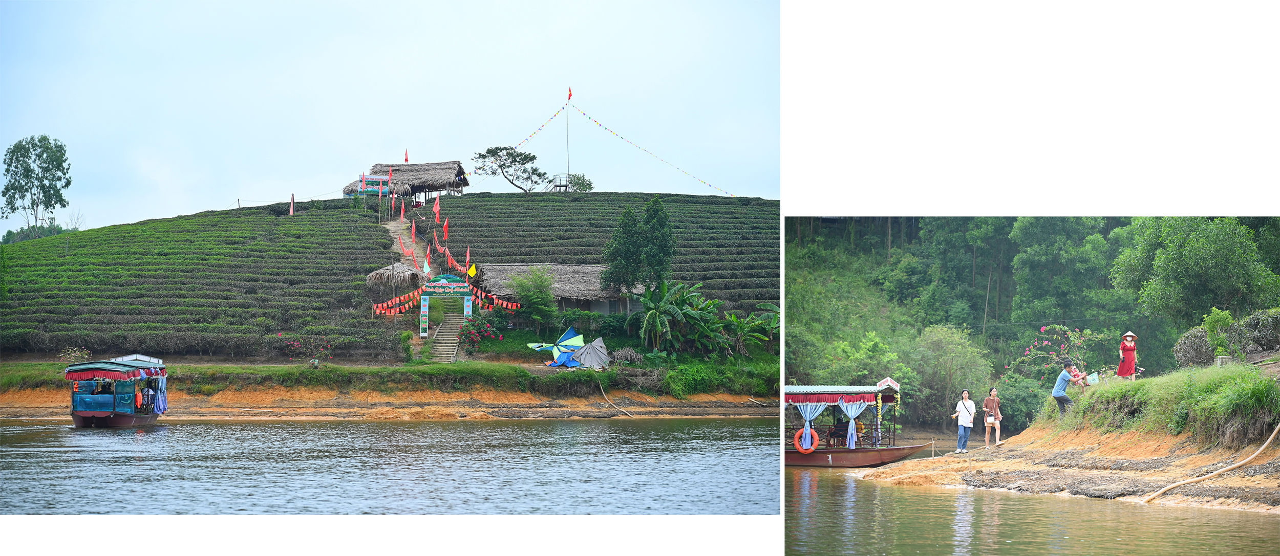 Vùng Đảo Chè ở 2 xã Thanh An, Thanh Thịnh (Thanh Chương) từ lâu là nơi ghé đến ưa thích của nhiều du khách trong và ngoài tỉnh.