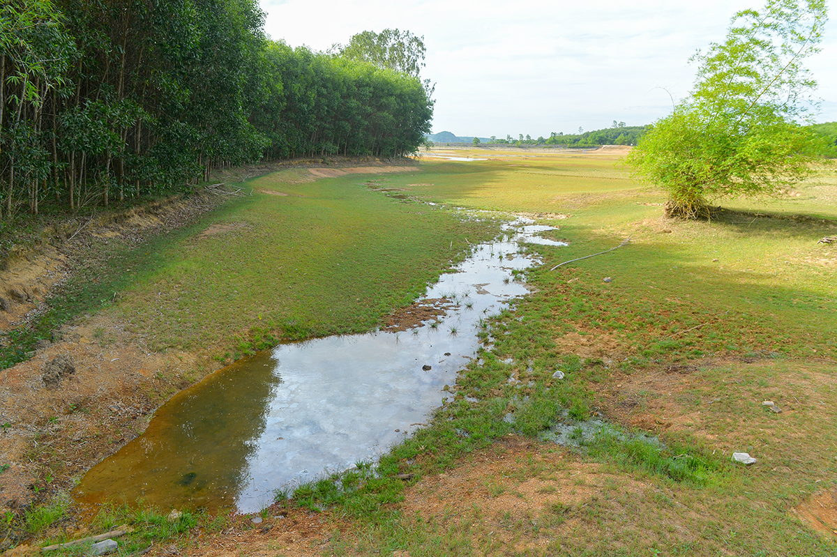 Hồ chứa nước Đồng Thiêng, xã Giang Sơn Tây (Đô Lương) khô cạn nước dịp tháng 6/2023. Ảnh: Văn Trường