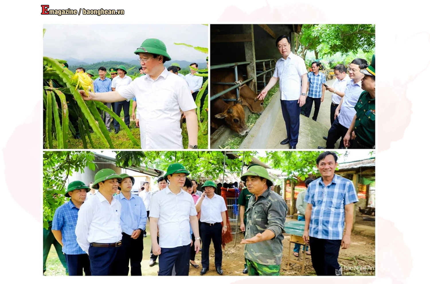 Chủ tịch UBND tỉnh Nguyễn Đức Trung thăm các mô hình kinh tế tại xã Tam Quang (Tương Dương). Ảnh tư liệu: Phạm Bằng