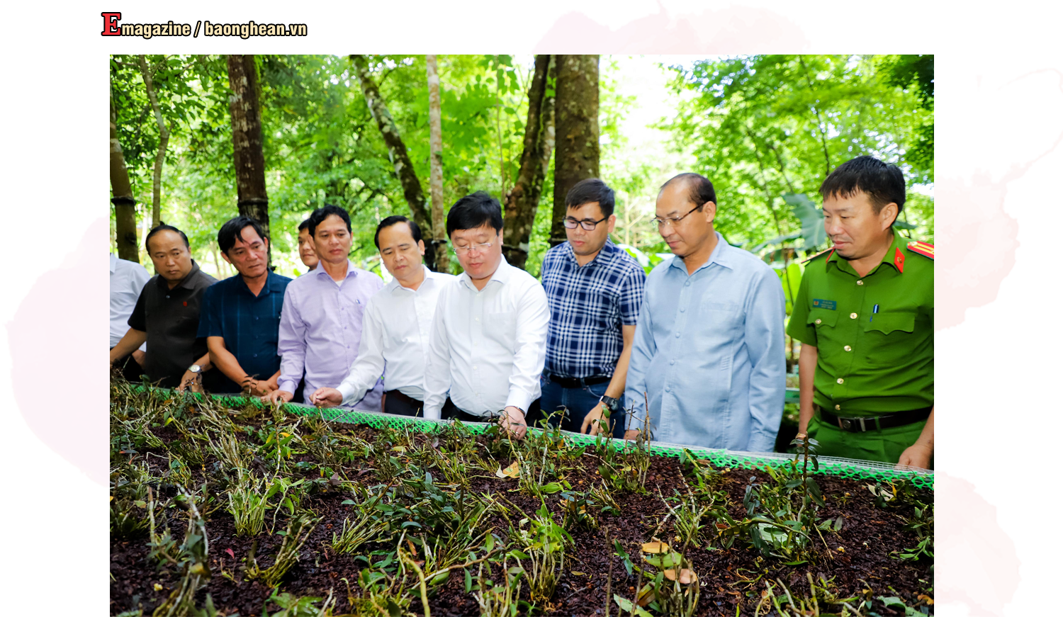 Chủ tịch UBND tỉnh Nguyễn Đức Trung thăm vườn ươm giống dược liệu của Tập đoàn TH. Ảnh: Phạm Bằng
