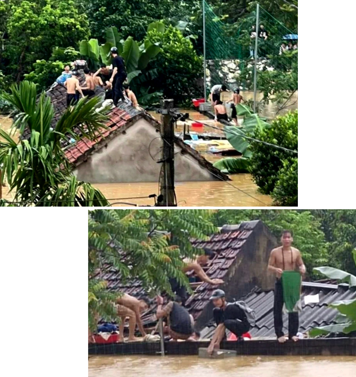 Hình ảnh các học sinh Trường THPT Quỳ Châu tháo ngói nhà để chạy lũ lụt.