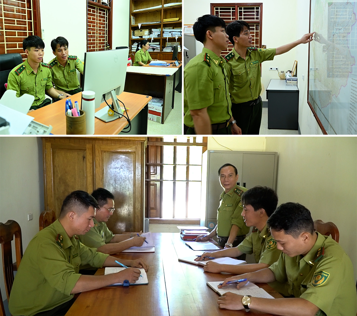 Hoạt động chuyên môn thường ngày của các phòng chuyên môn, Trạm quản lý bảo vệ rừng Pù Hoạt.
