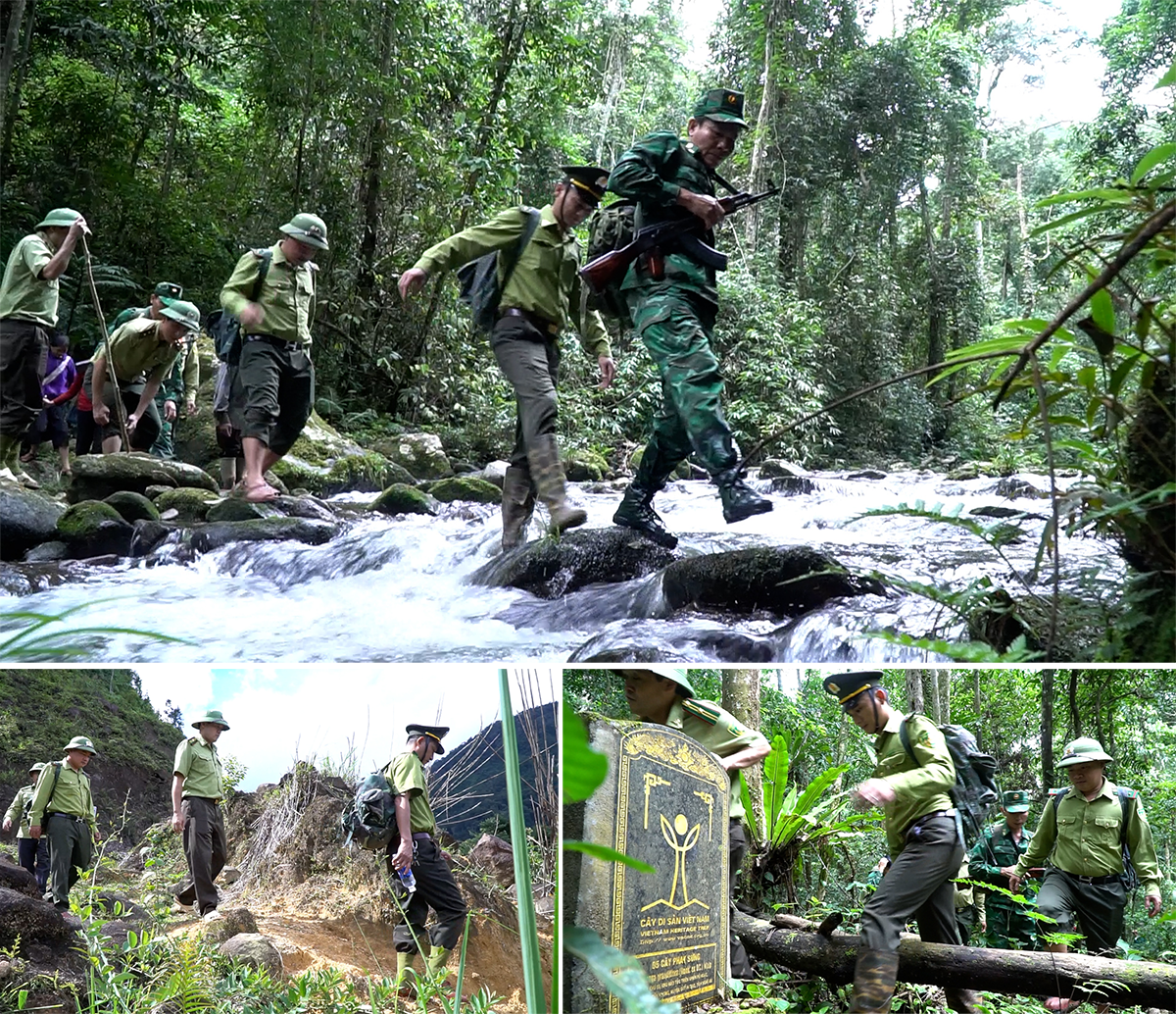 Cán bộ Ban Quản lý Khu Bảo tồn thiên nhiên Pù Hoạt tuần tra, bảo vệ rừng.
