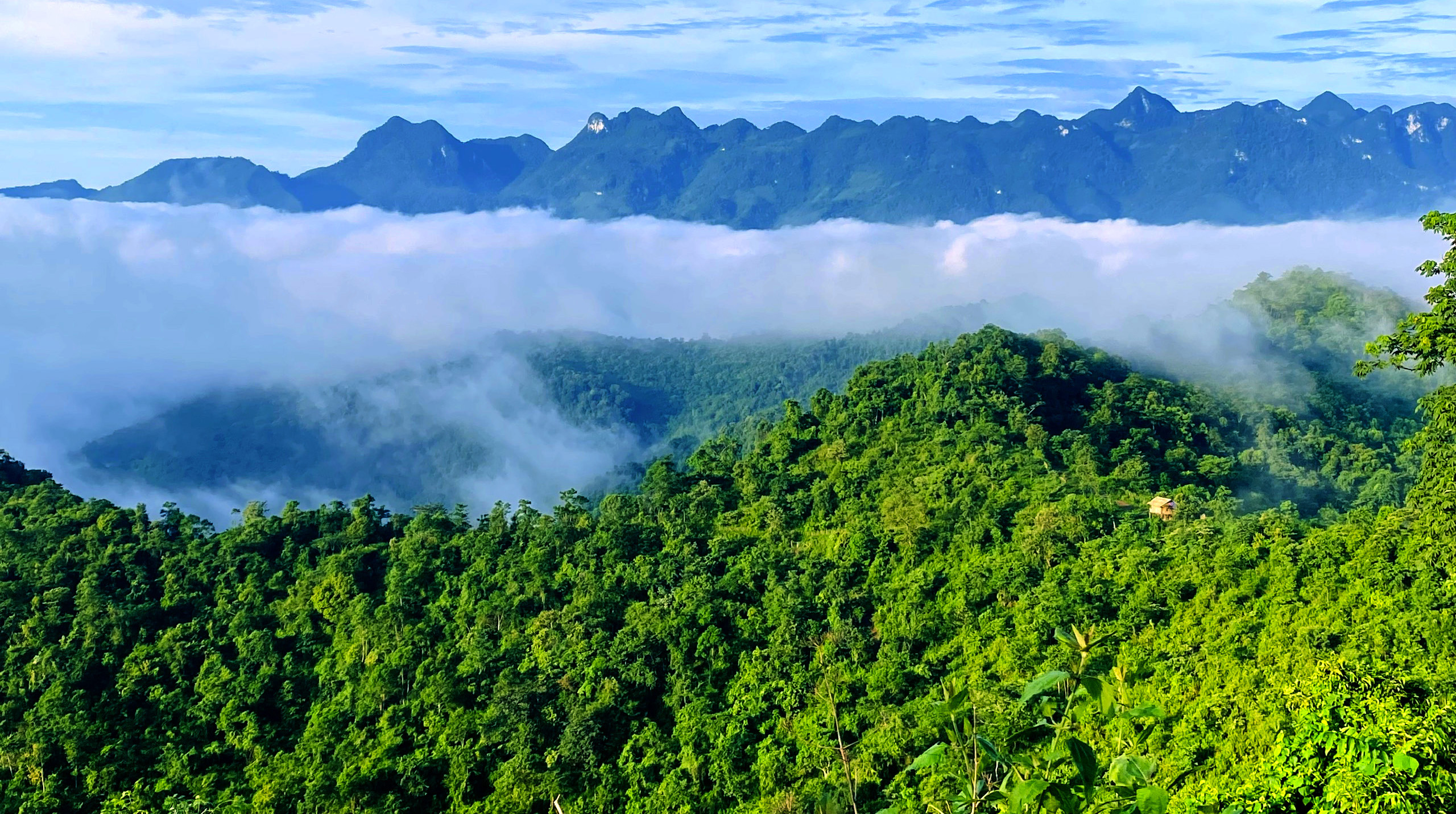 Độ che phủ rừng tại Nghệ An đạt mức cao. Ảnh: Quang An