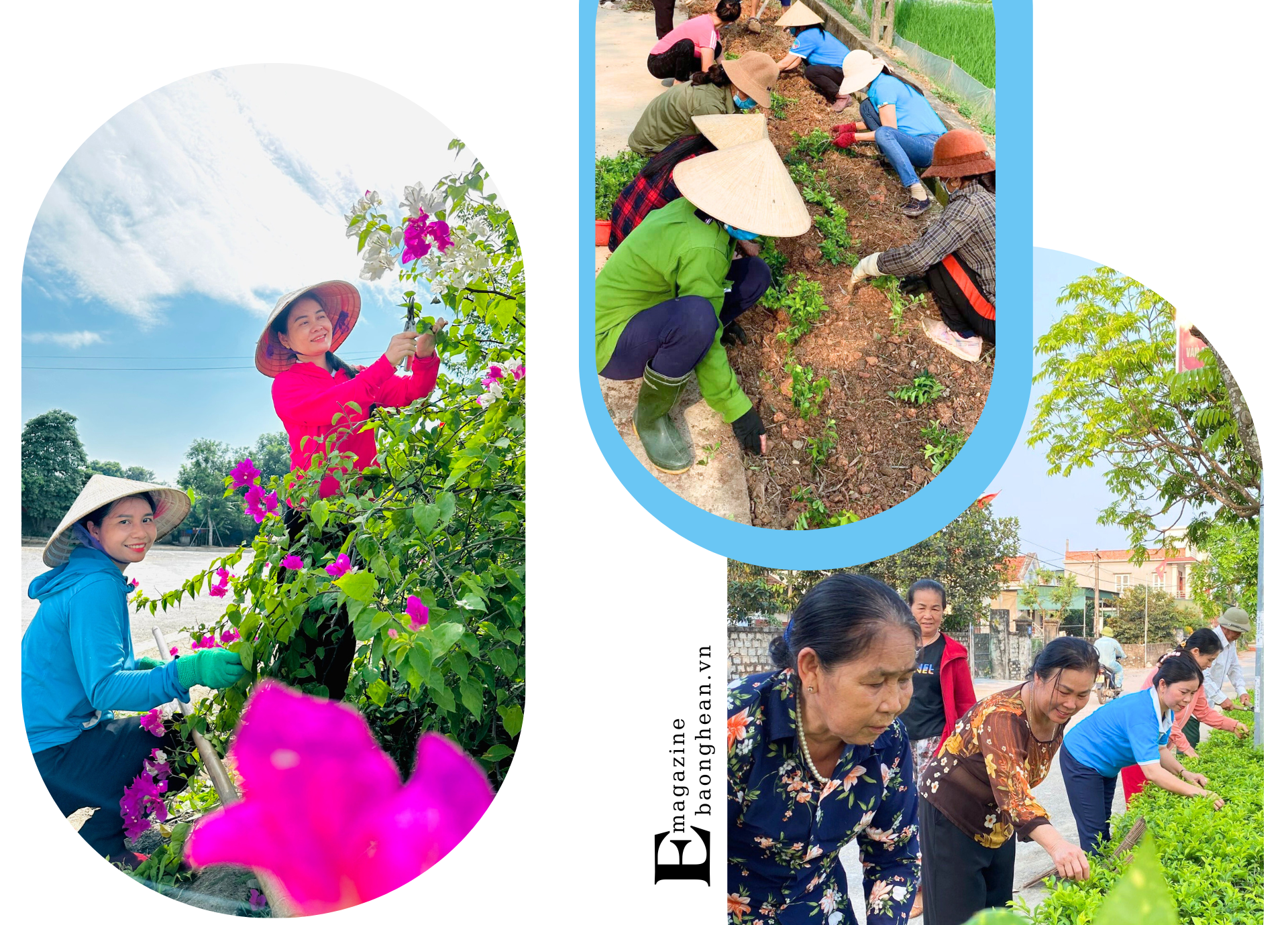 Phong trào làm nông thôn mới đẹp của chị em phụ nữ các địa phương Nghĩa Đàn, Nam Đàn, Quỳnh Lưu.