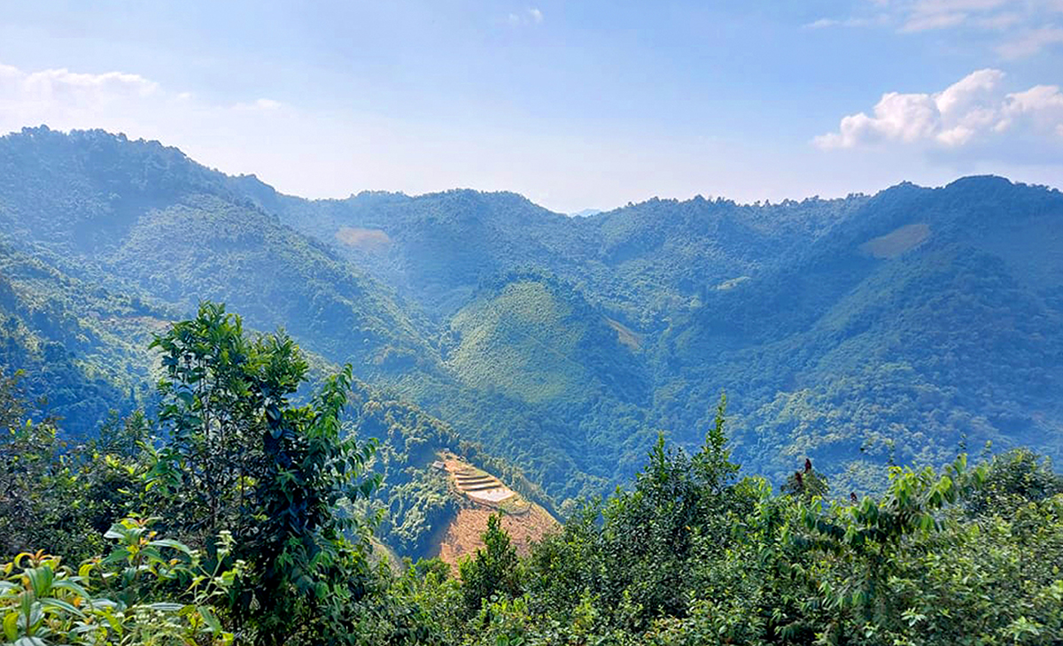 Vùng núi Pu Phen, xã Yên Tĩnh, huyện Tương Dương.