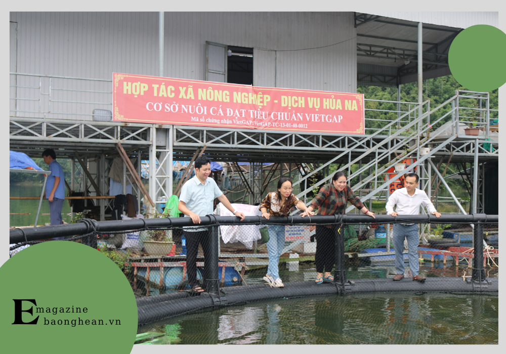 Đồng chí Dương Hoàng Vũ - Chủ tịch UBND huyện Quế Phong kiểm tra mô hình nuôi cá lồng ở lòng hồ thủy điện Hủa Na.