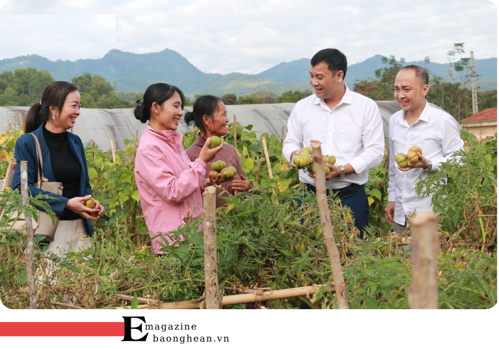 Ông Nguyễn Hữu Hiến - Phó Chủ tịch UBND huyện Tương Dương tham quan mô hình trồng cà chua múi tại bản Phòng, thị trấn Thạch Giám (Tương Dương).