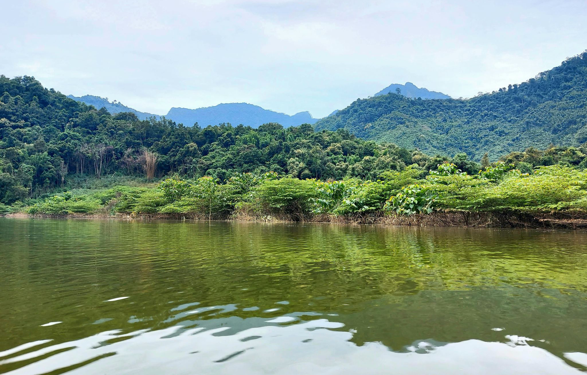 Vùng lòng hồ thủy điện Hủa Na, nhờ được quản lý bảo vệ nên rừng đã tái sinh trở lại tạo nên cảnh quan rất đẹp.