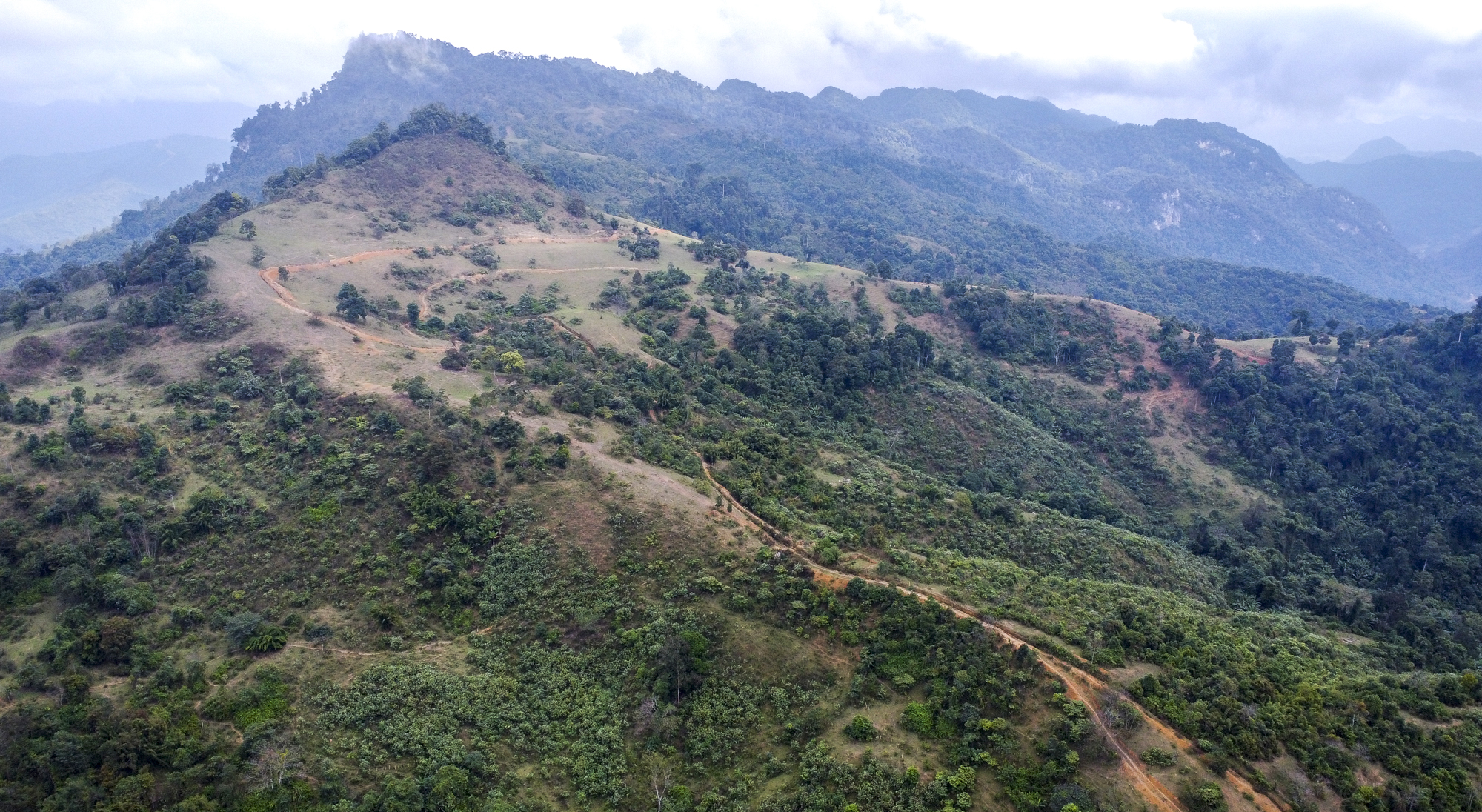 Điểm trồng rừng trên dốc Càng Hèm, xã Yên Thắng, huyện Tương Dương.