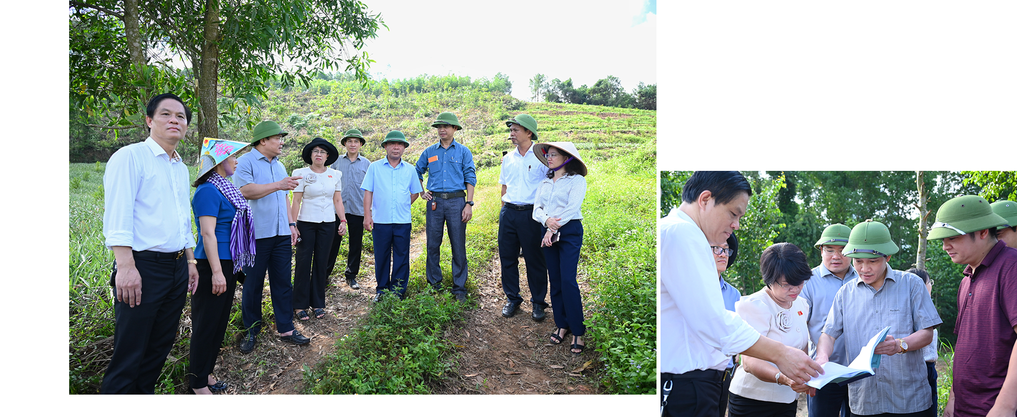 Đoàn công tác của Ủy ban Khoa học, Công nghệ và Môi trường của Quốc hội kiểm tra tại thực địa việc trồng rừng thay thế Dự án Hồ chứa nước Bản Mồng tại huyện Quỳnh Lưu.