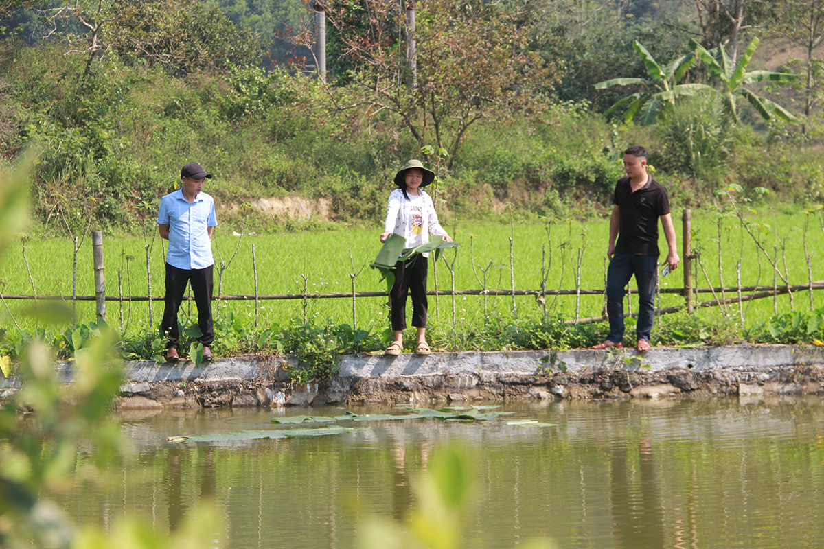 Nhờ bảo vệ rừng tự nhiên tốt đã tạo nguồn sinh thủy dồi dào cho người dân xã Nậm Giải (Quế Phong) đào ao nuôi cá. Ảnh: Xuân Hoàng