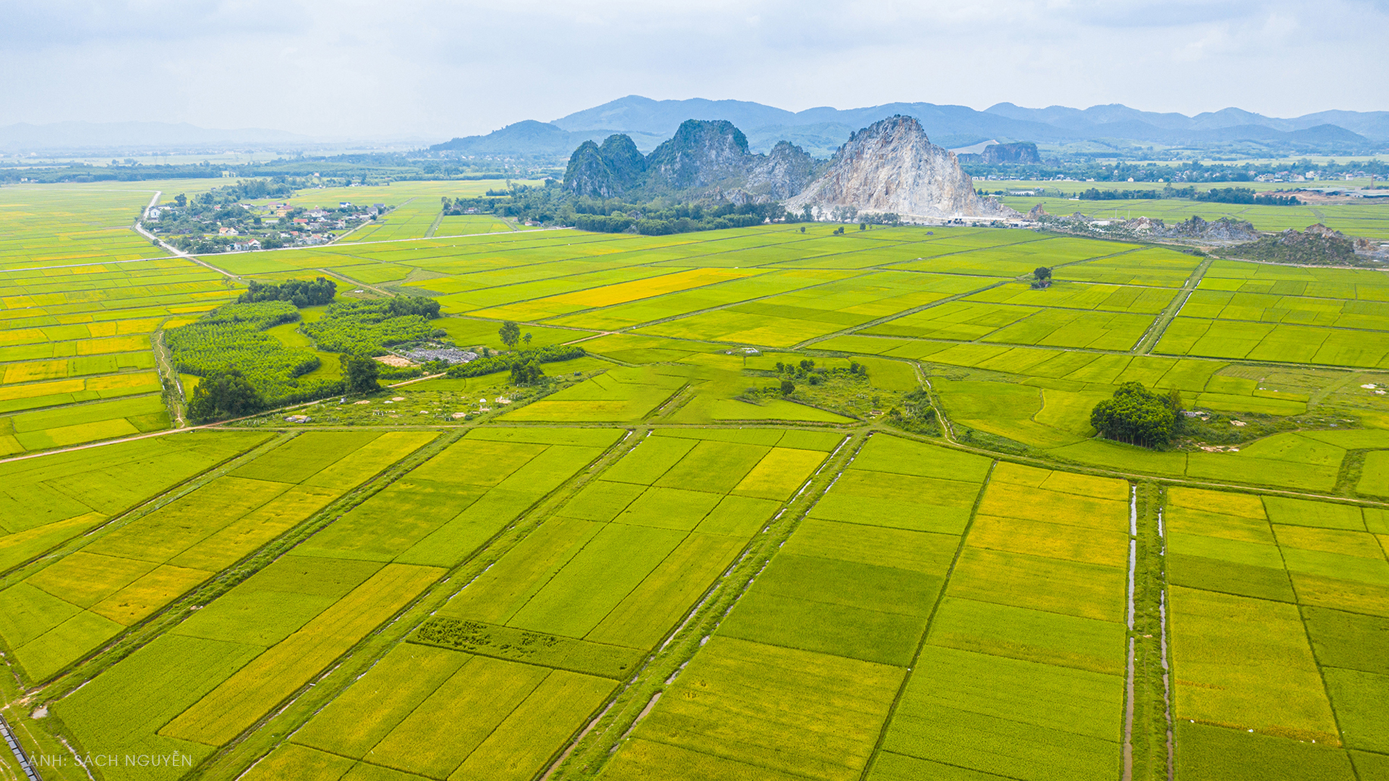 Những cánh đồng lúa ở huyện Yên Thành. Ảnh tư liệu - minh họa: Sách Nguyễn