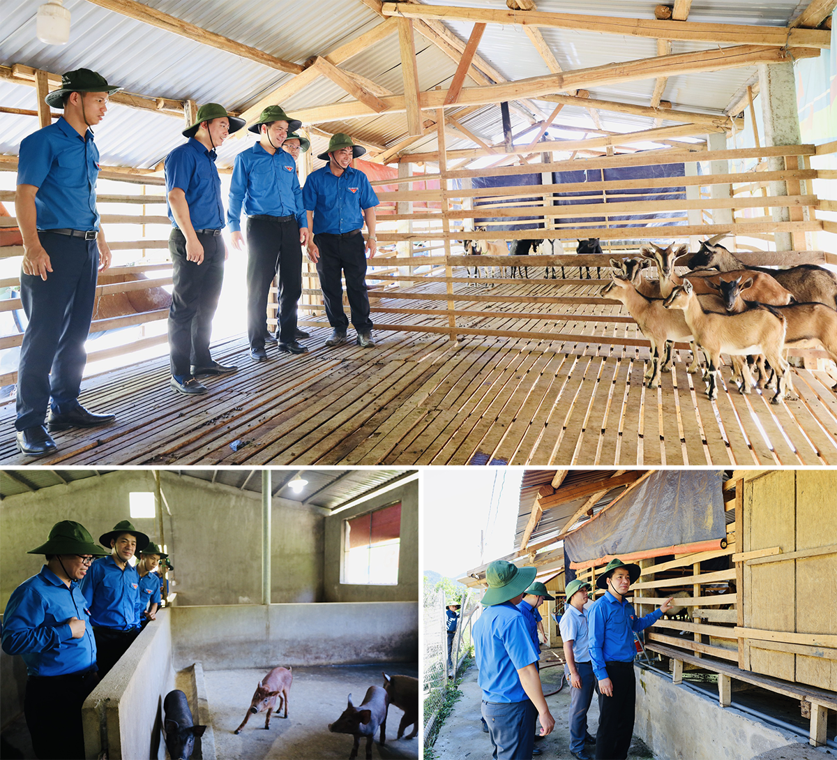 Bí thư Trung ương Đoàn thăm các khu chăn nuôi, trồng trọt của Tổng đội TNXP 9 và các mô hình sản xuất của các đội viên. 