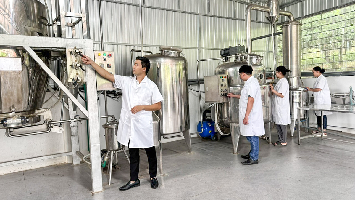 Mô hình ứng dụng công nghệ cao trong sản xuất dược liệu của anh Ngô Quang Cảnh (SN 1988), xã Nghĩa Hội, huyện Nghĩa Đàn.