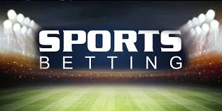 Discover the Benefits of Betting with betproexchange-pk.com Discover the Benefits of Betting with betproexchange-pk.com