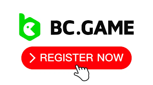 Exploring the Excitement of BC Game Poland 16